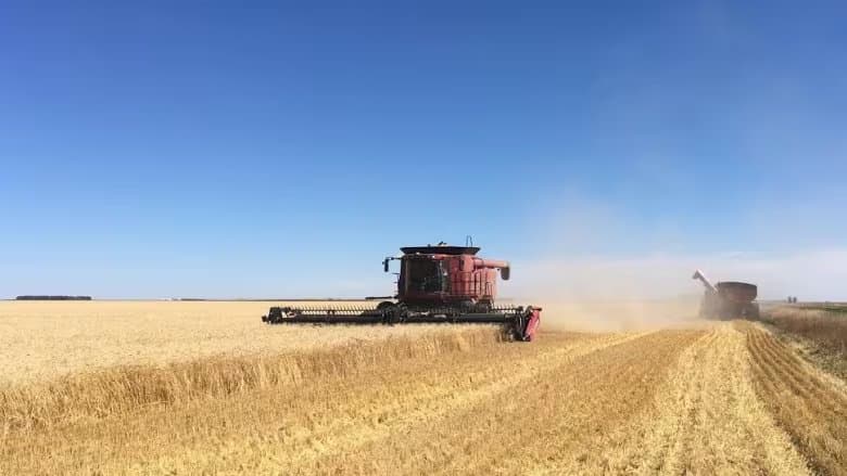 Harvested Saskatchewan farmland with grain bins in the distance